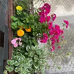 Haus Karin * Mallnitz