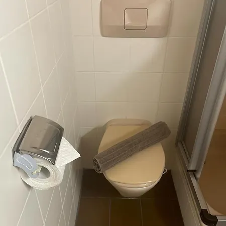 Haus Karin 아파트 말니츠