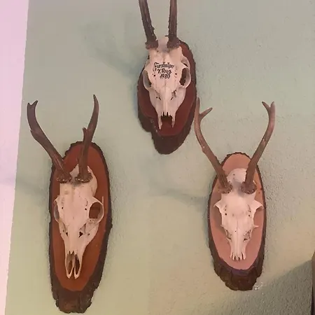 Haus Karin مالنتز