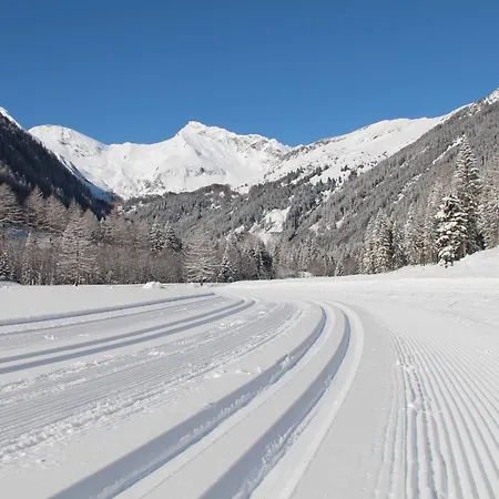 Haus Karin 아파트 말니츠