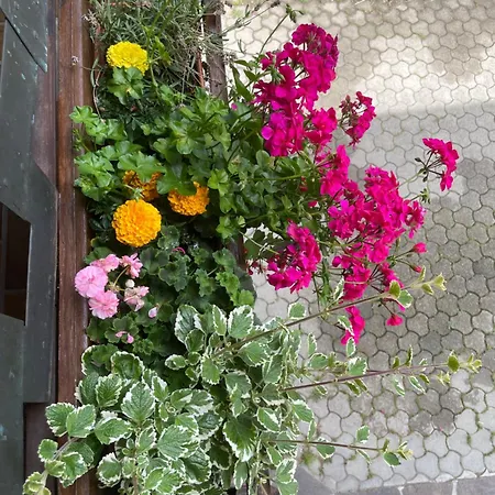 Haus Karin * Mallnitz