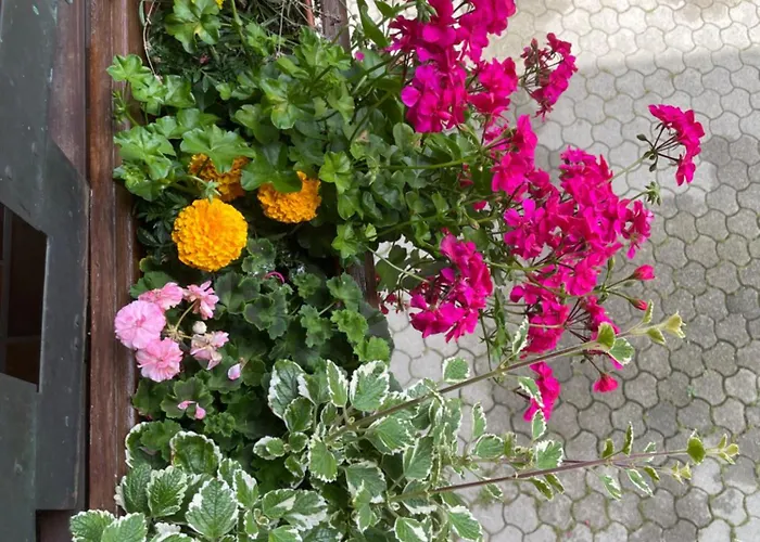 Haus Karin * Mallnitz